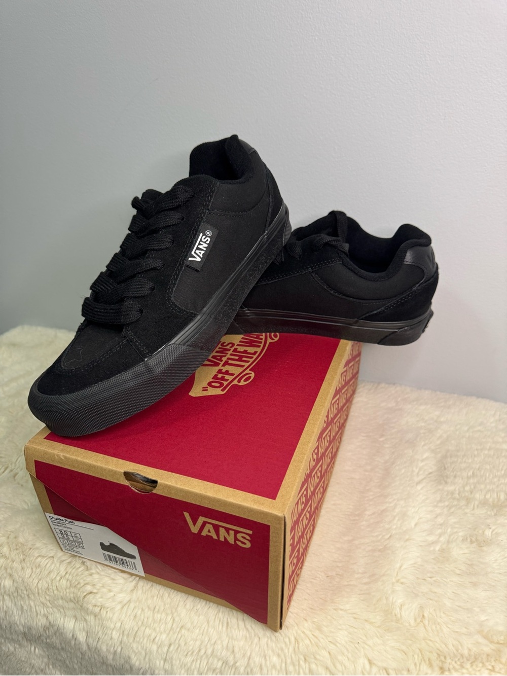 Vans Black Low-Top Skate Sneakers - Chukka Push